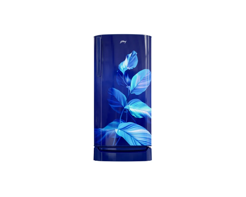 Godrej | 2 Star Fixed | RD ERIOPLS 205B THF SE BL