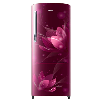 Samsung | RR20C1812R8/HL