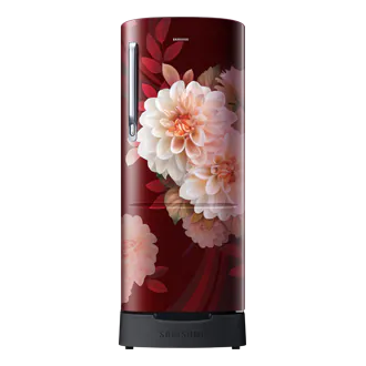 Samsung | RR20F2825BR/NL