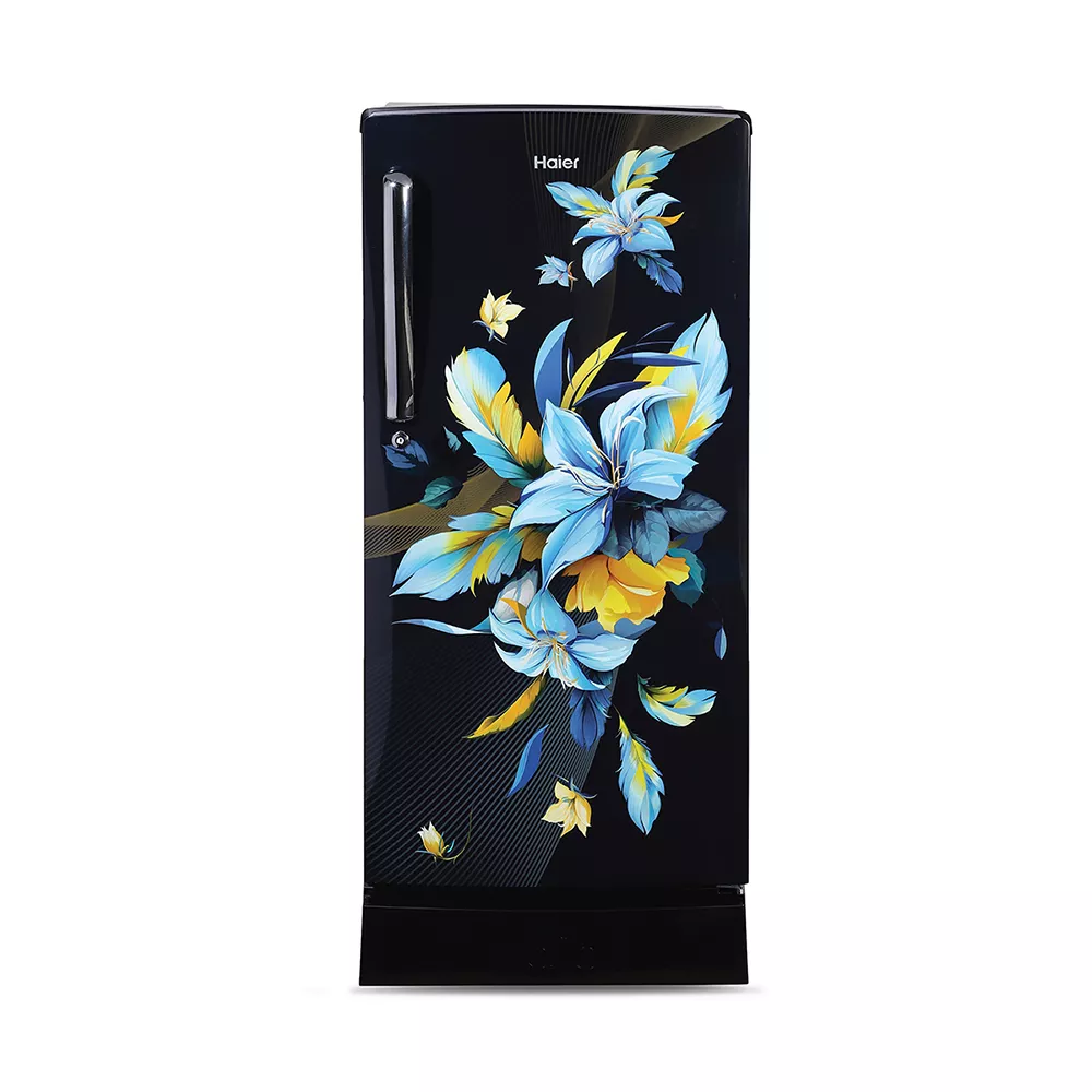 Haier | 5 Star | HRD-2105PKO-P