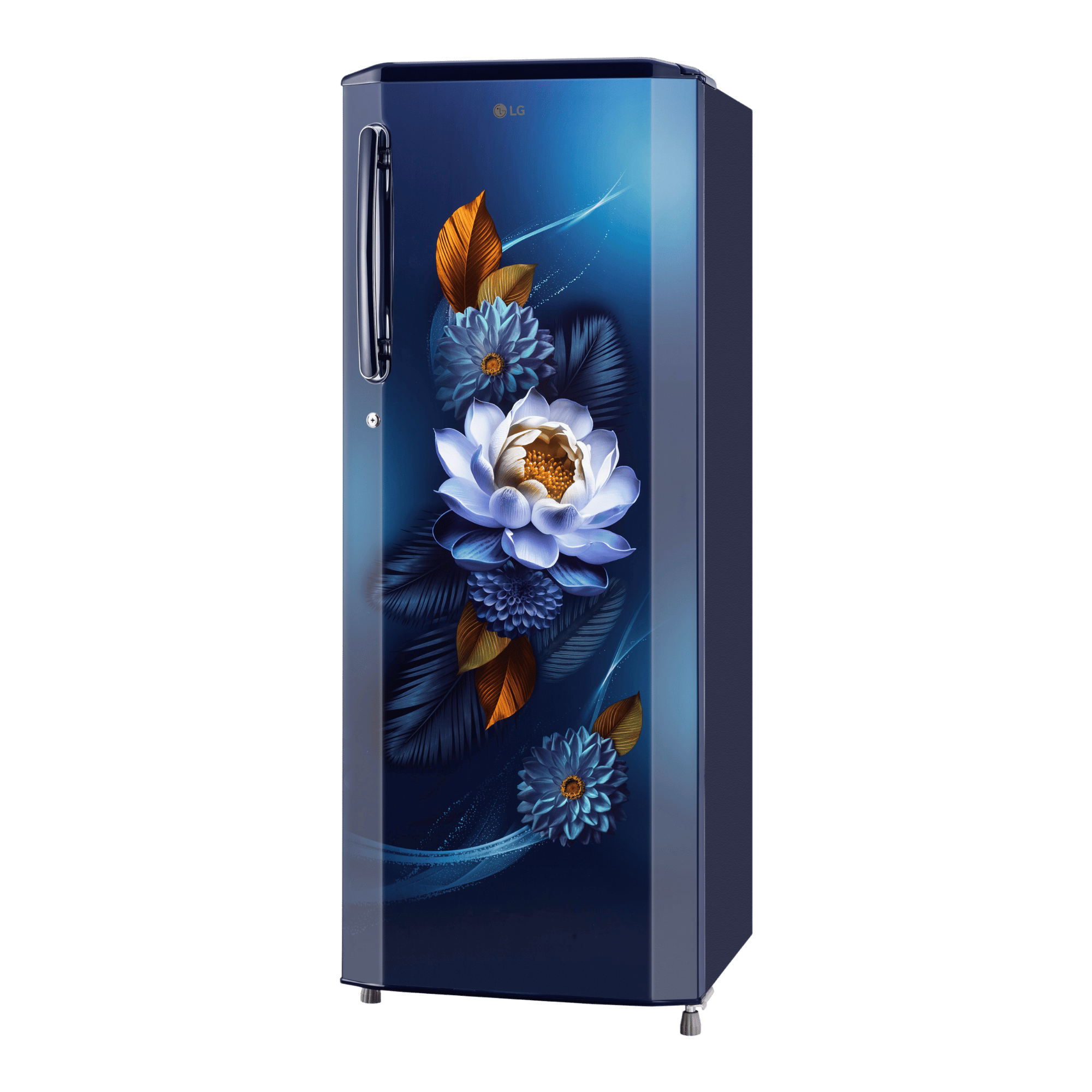 LG | GL-B281BBWX