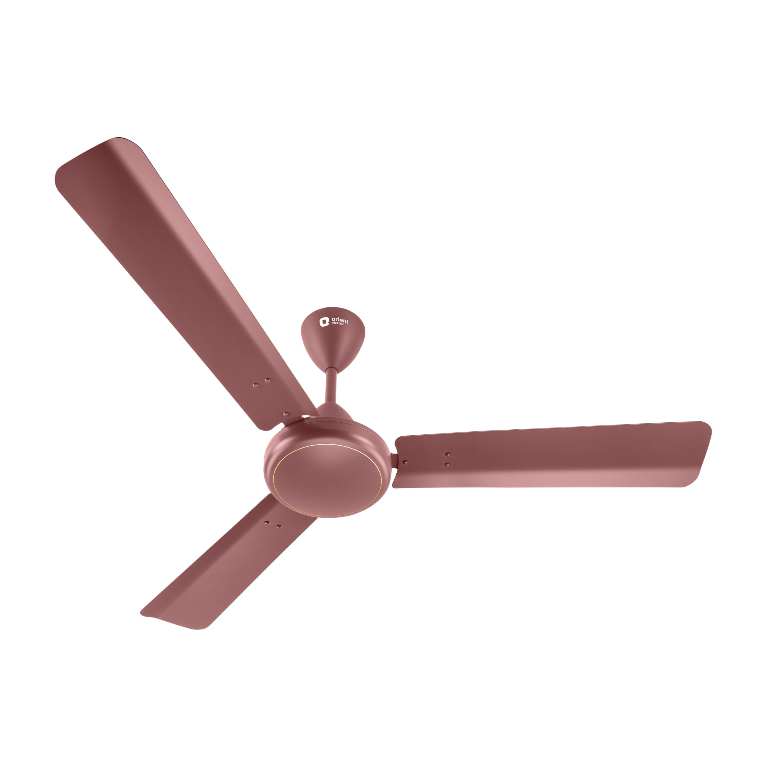 Orient electric | Falcon Speedster | Base Ceiling Fans | Matt Brown